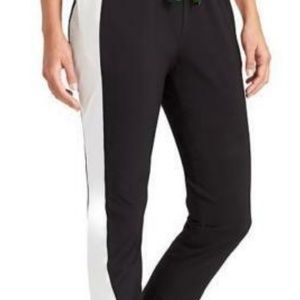 Derek Lam for Athleta Joggers